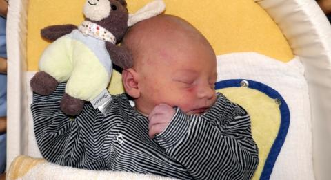 Oliver ist das 1500. Baby, das im St. Bernward Krankenhaus 2018 geboren wurde.